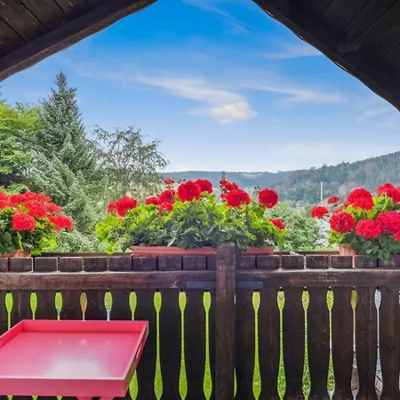 Panoramablick * Piesau